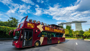 Hop-on Hop-off Big Bus Discover Tour